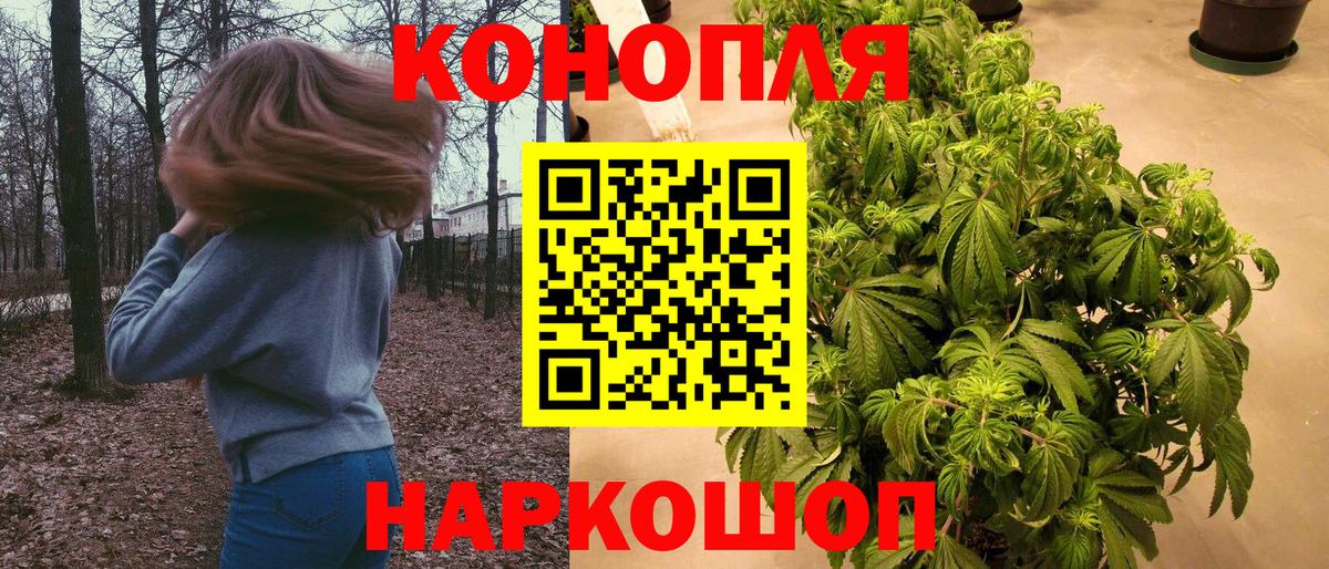 Бошки Шишки White Widow  Вход с VPN  Канабис конопля  Выборг  Шишки марихуана Ganja 